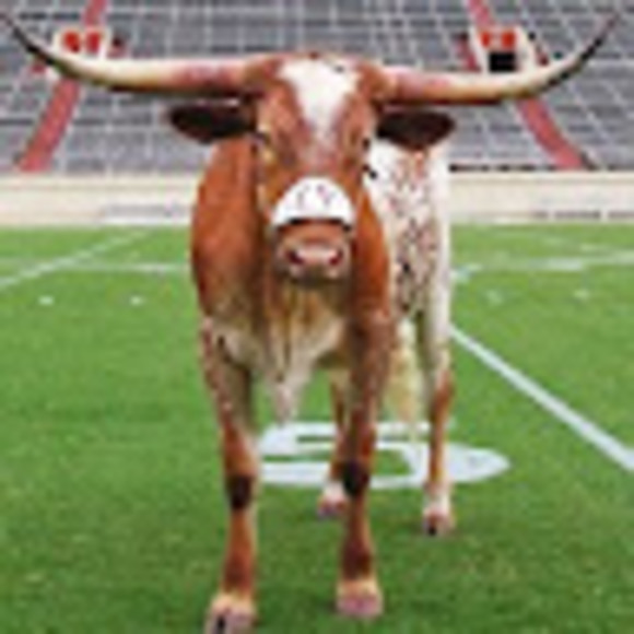 mpeavylonghorns
